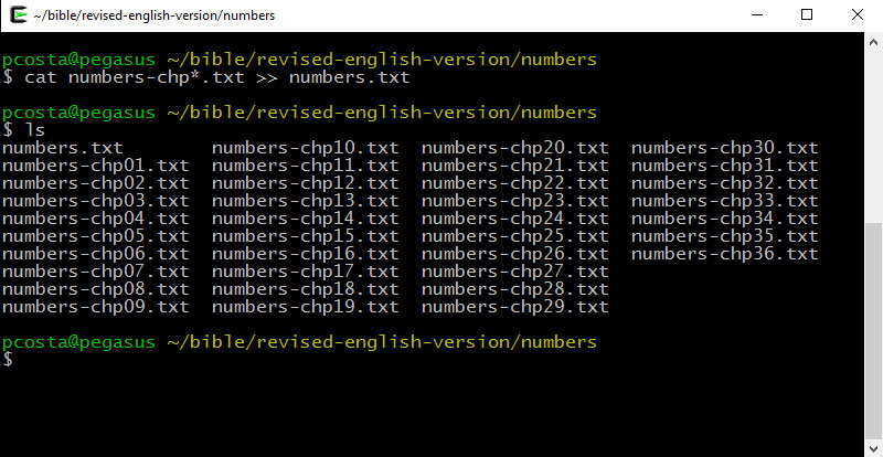 screenshot of bash shell cat command