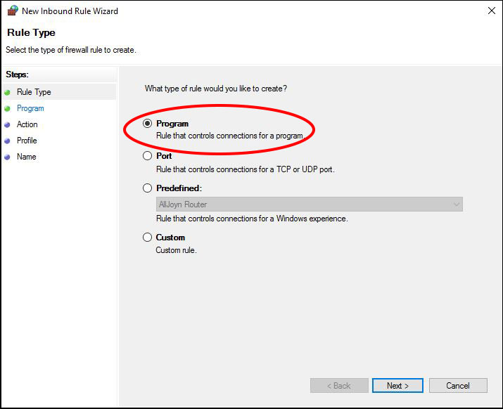 screenshot of windows 10 firewall rule type dialog box