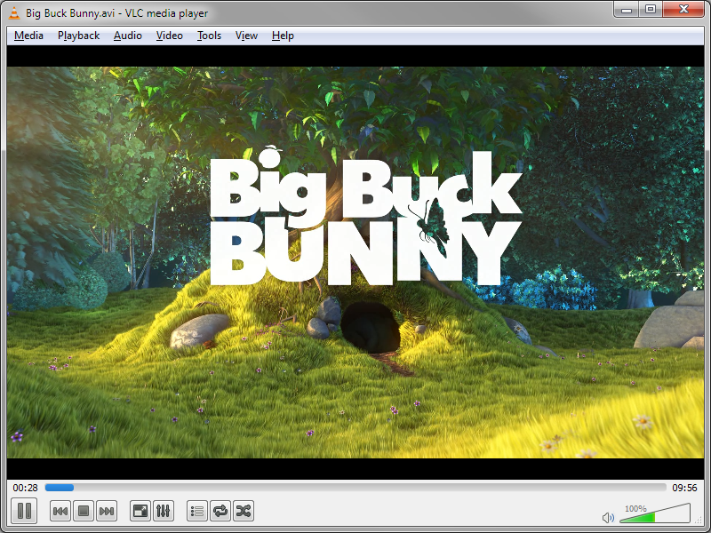 VLC Media Player Software Interface